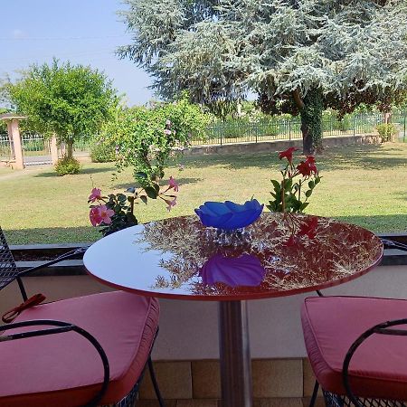 B & B Cedro Argentato Legnago Kültér fotó
